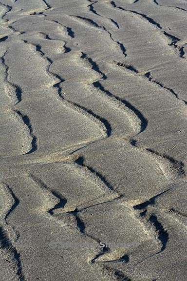 sand pattern 3693 26 graphic
